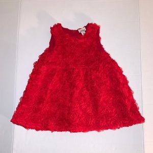 NWT CAT & JACK baby girl rose dress size 18 months